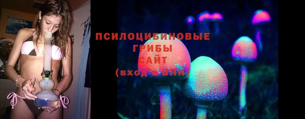 ешки Слюдянка