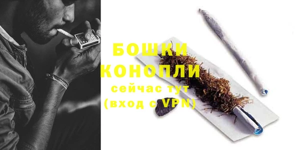 крисы Богданович