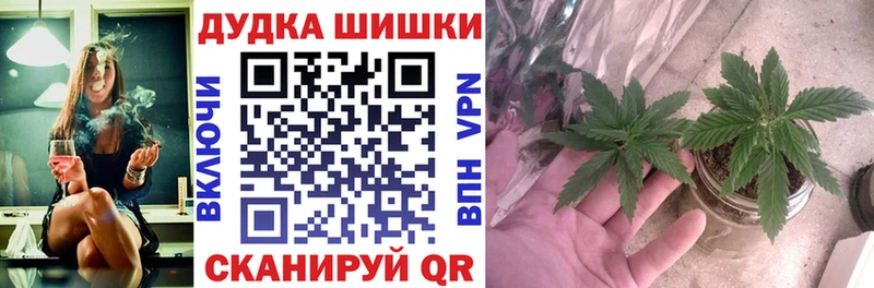 Каннабис конопля Клин